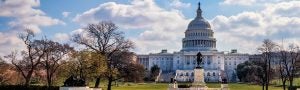 the US Capitol building in Washington DC.