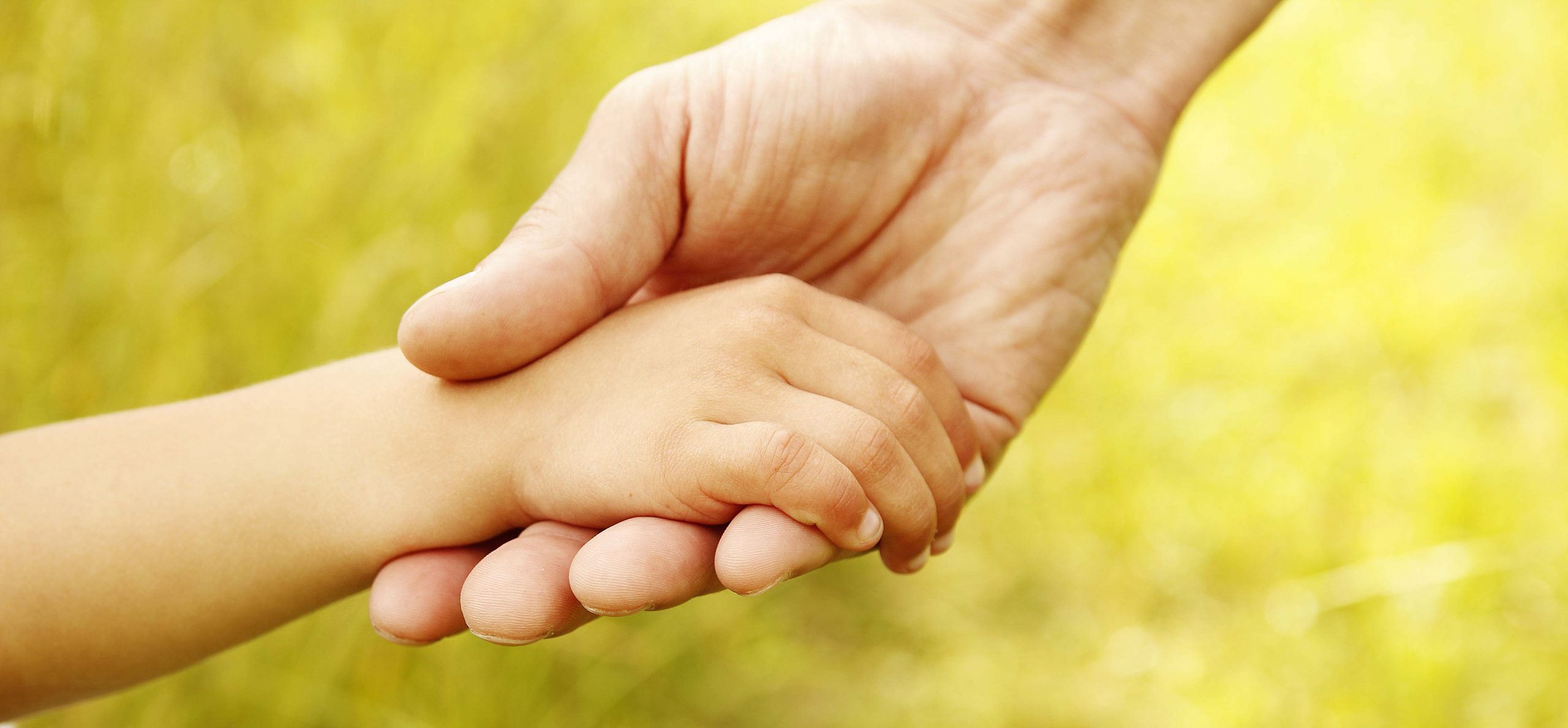 an adult hand holding a child's hand