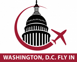 D.C. Fly in logo