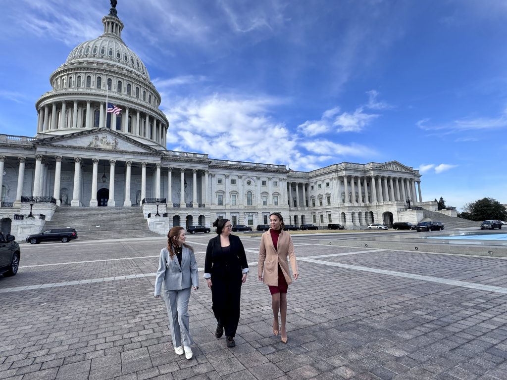 students standing in front of the US Capitol building
